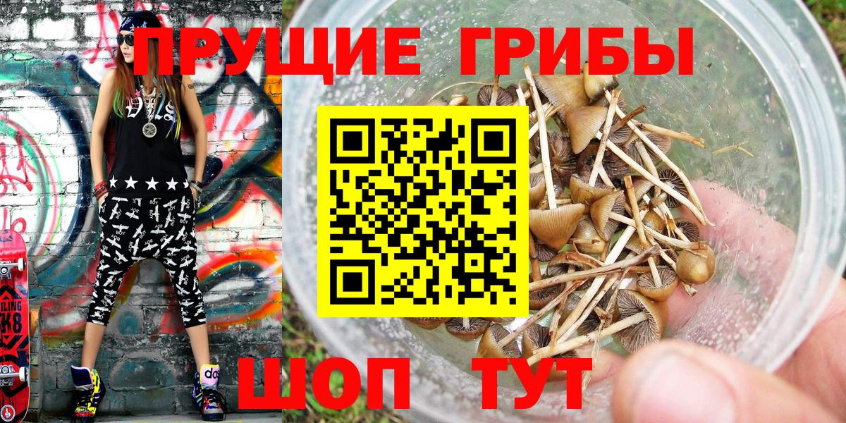 Псилоцибиновые грибы GOLDEN TEACHER Ярцево